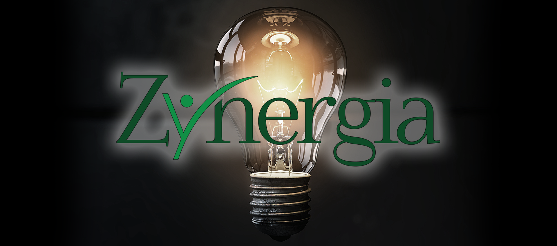 Zynergia Boa Vida Healthcare